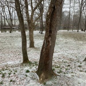 Meet your Posher, N. j.